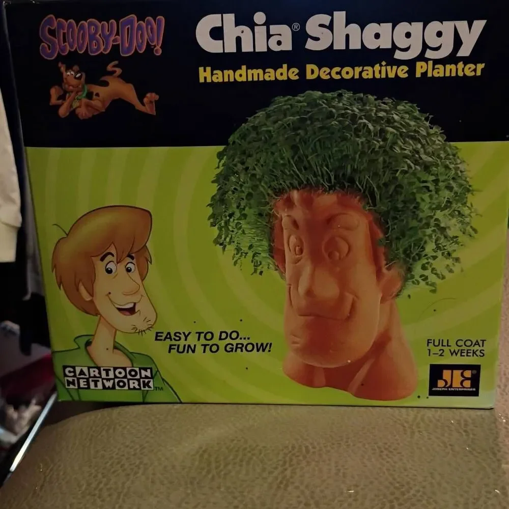 NWT Cartoon Network Scooby Doo Chia Shaggy